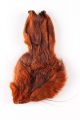 Wapsi Hares Mask (Maska Zająca) Rusty Brown